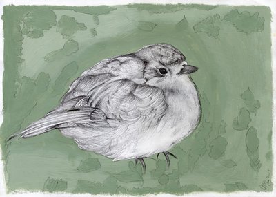 Plump Little Robin、2012年（ガッシュ、紙に鉛筆） 作： Nancy Moniz Charalambous